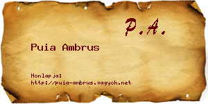 Puia Ambrus névjegykártya
